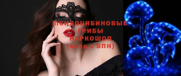 гидропоника Богородицк