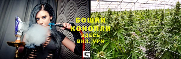 СК Богородск