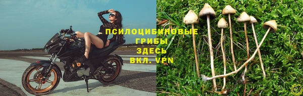 СК Богородск