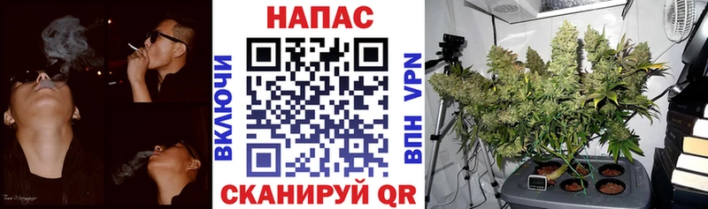 где продают наркотики  Тула  Бошки Шишки LSD WEED 